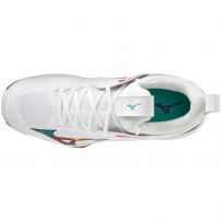 Волейбольні кросівки Mizuno WAVE MOMENTUM 2